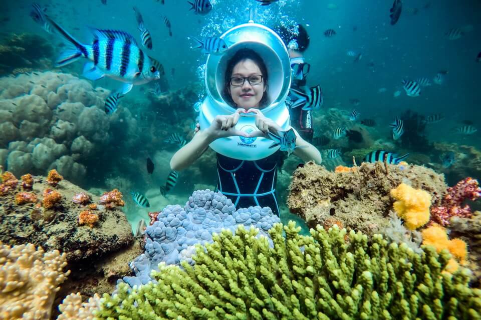 Land Tour Hòn Khô - Lặn Ngắm San Hô - Gotour Travel