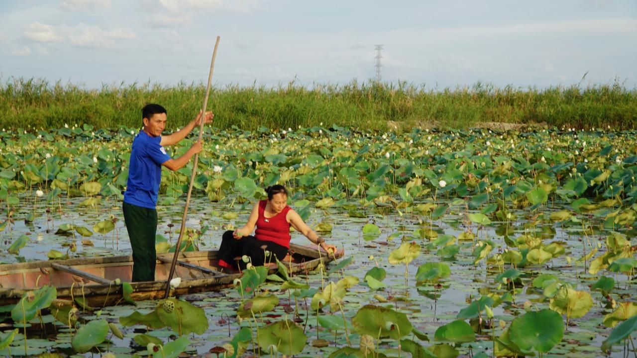 Ngỡ ngàng Hạc Hải - nơi mây trời, bóng nước gặp nhau- Ảnh 14.