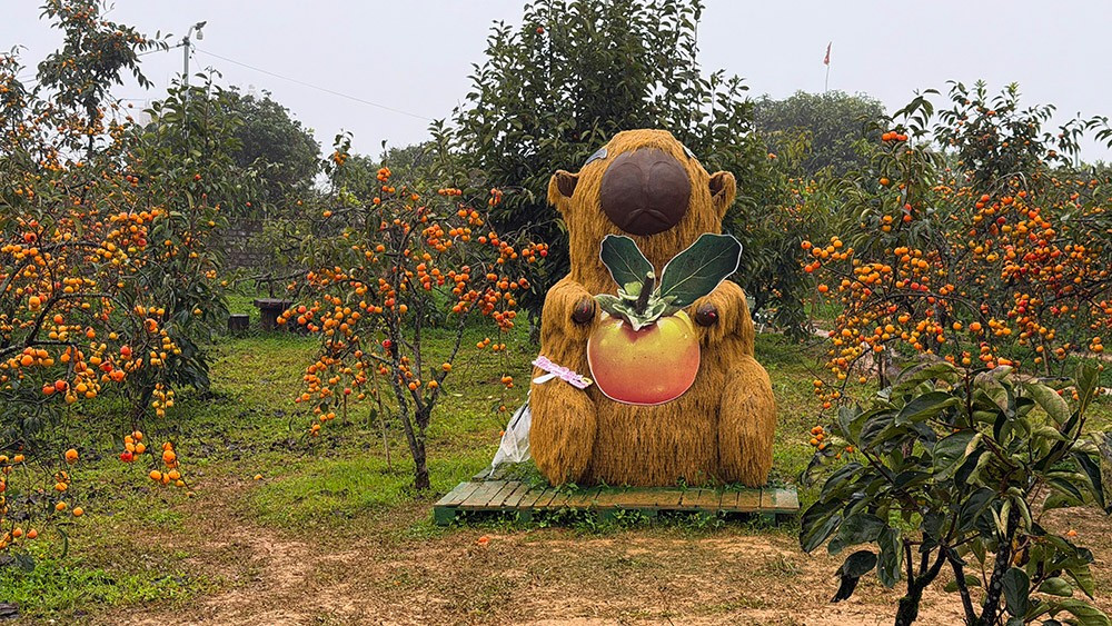 Mộc Châu mùa hồng chín, ai đến cũng ngẩn ngơ- Ảnh 7.