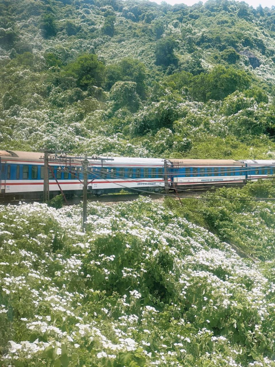 Việt Nam có cung đường đang xảy ra hiện tượng "tuyết mùa hè" phủ trắng đèo đẹp như phim - áº¢nh 3.
