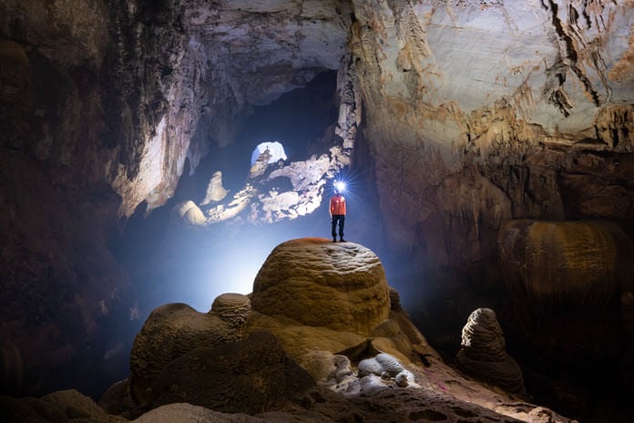 Hand of Dog (ảnh Oxalis)