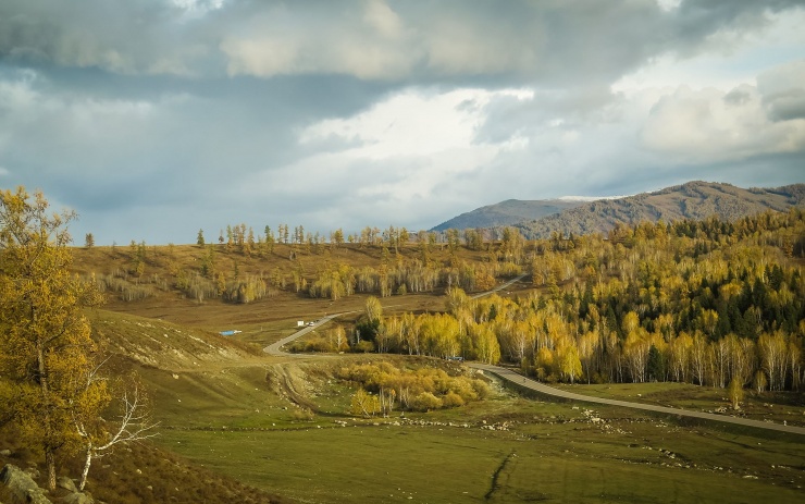 Đường vào làng Hòa Mộc