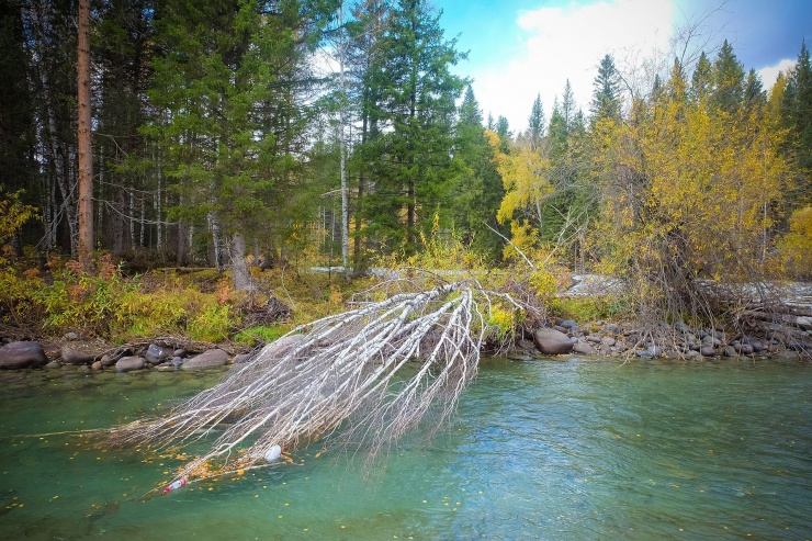 Vạn sắc thu vàng ở làng cổ Tân Cương, khách thích thú tận hưởng từng giây - 6