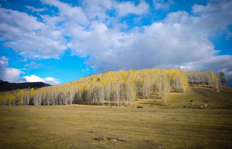 Vạn sắc thu vàng ở làng cổ Tân Cương, khách thích thú tận hưởng từng giây - 8