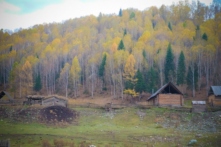 Ngàn vạn sắc vàng của mùa thu đều có thể tìm thấy ở Hòa Mộc