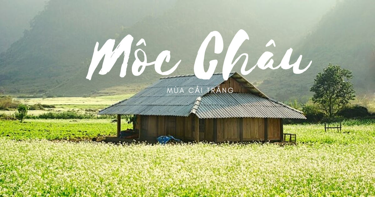 TOUR BẮC NINH - MỘC CHÂU - BẮC NINH 2 NGÀY 1 ĐÊM