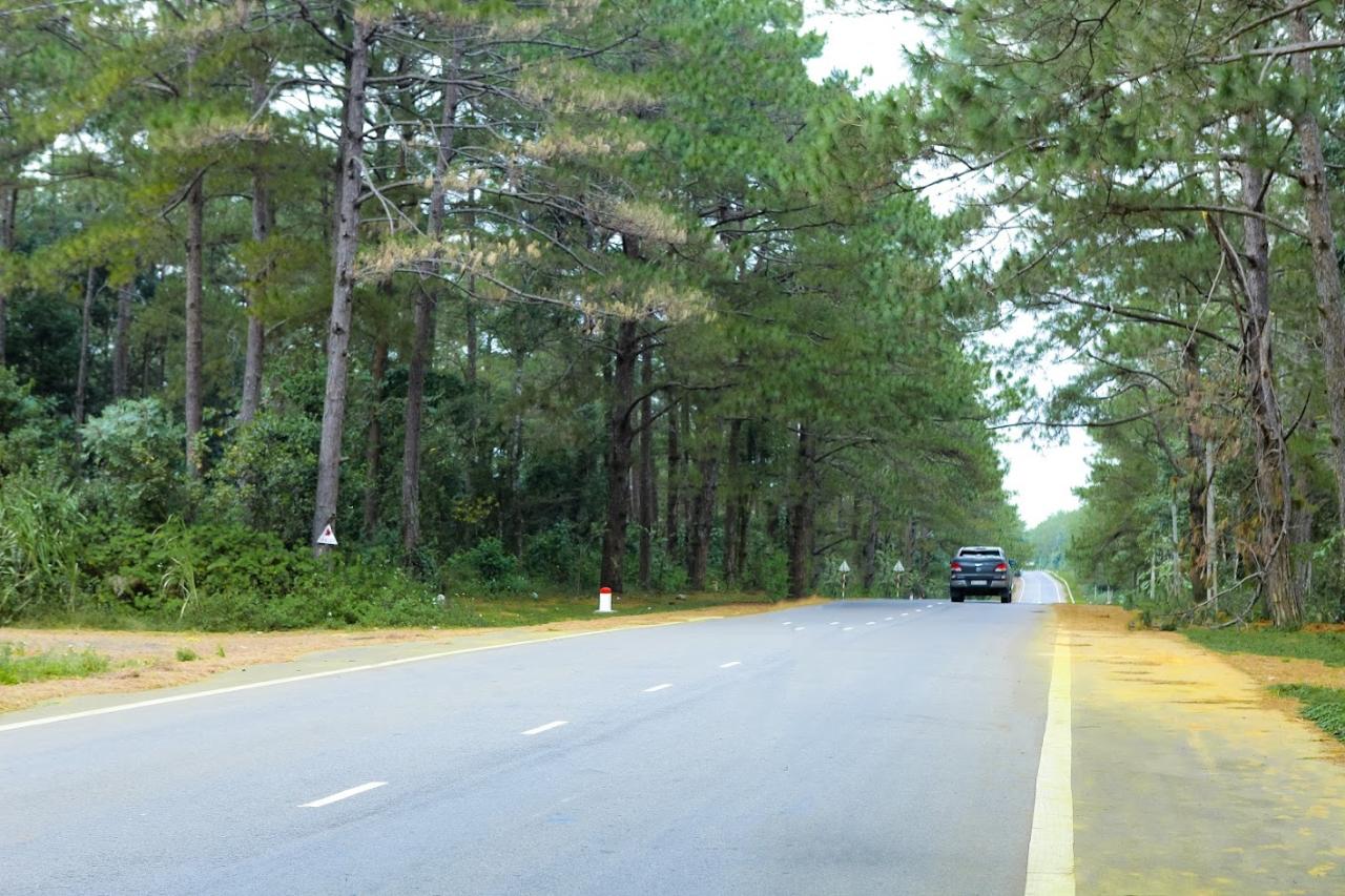 Du lịch Măng Đen Kon Tum tự túc từ A - Z