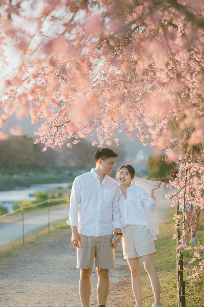 20 bức ảnh hoa anh đào tuyệt đẹp từ nhiếp ảnh gia Việt, một khi đã xem là “luỵ” không thoát ra được- Ảnh 13.