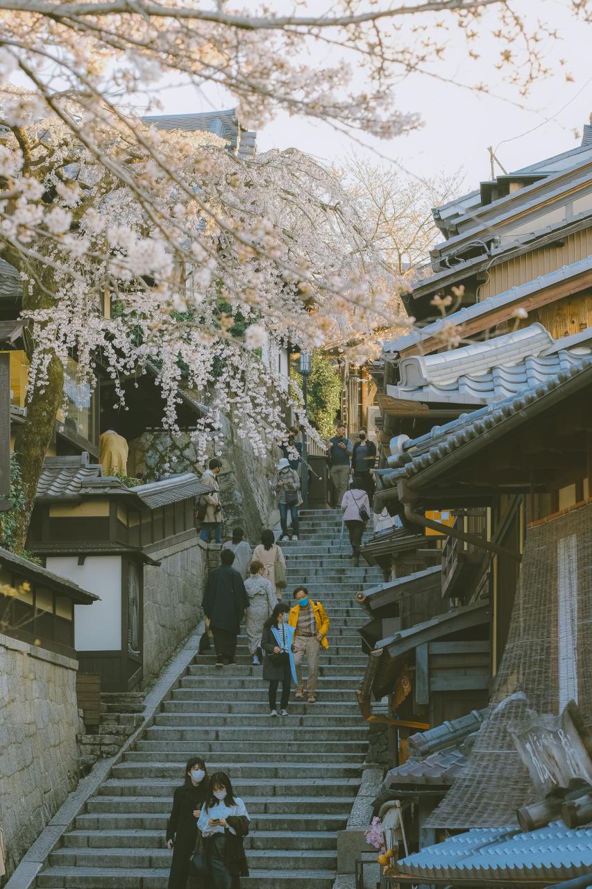 20 bức ảnh hoa anh đào tuyệt đẹp từ nhiếp ảnh gia Việt, một khi đã xem là “luỵ” không thoát ra được- Ảnh 17.