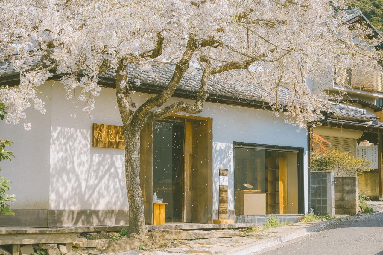 20 bức ảnh hoa anh đào tuyệt đẹp từ nhiếp ảnh gia Việt, một khi đã xem là “luỵ” không thoát ra được- Ảnh 10.