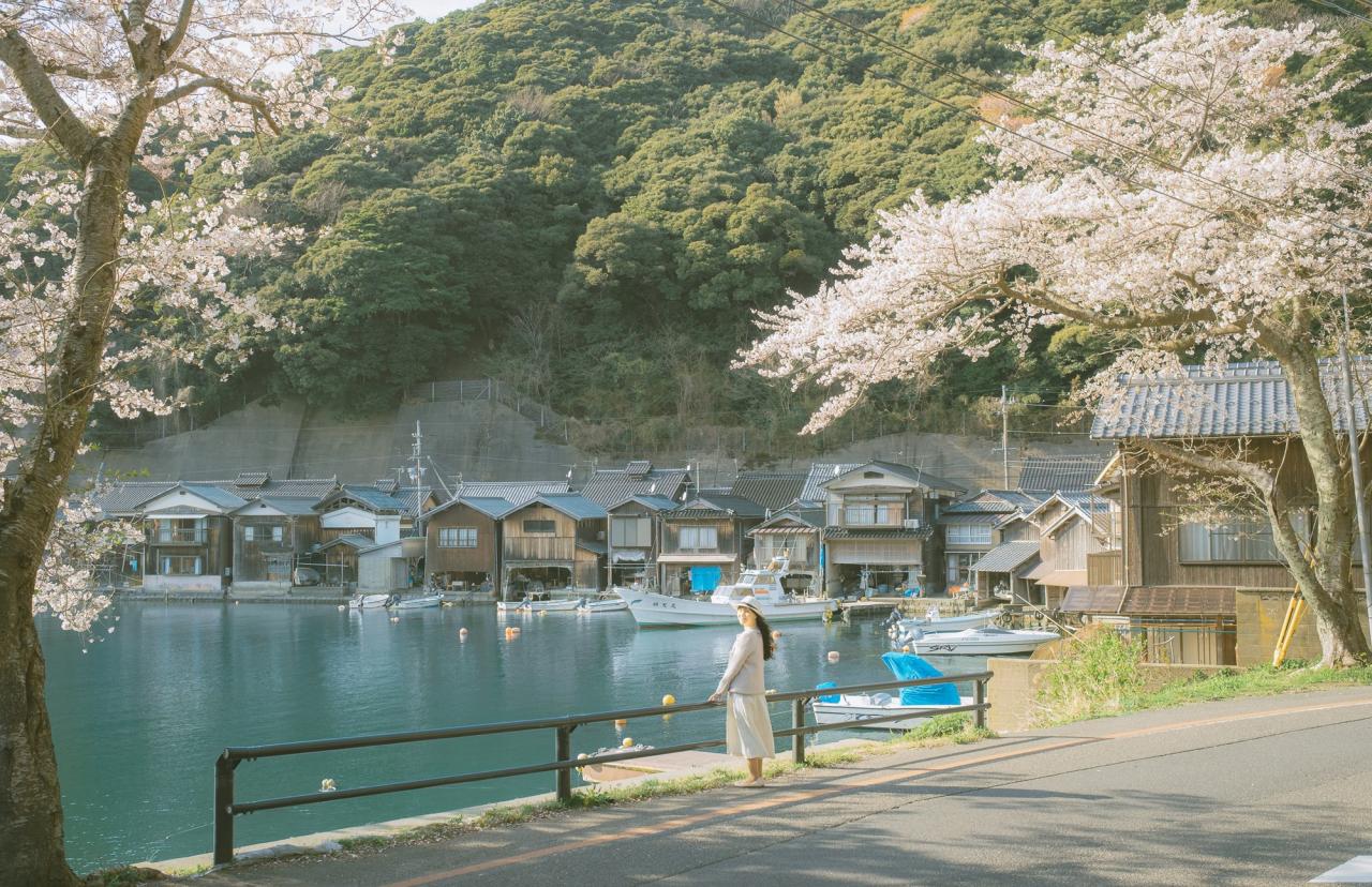 20 bức ảnh hoa anh đào tuyệt đẹp từ nhiếp ảnh gia Việt, một khi đã xem là “luỵ” không thoát ra được- Ảnh 20.