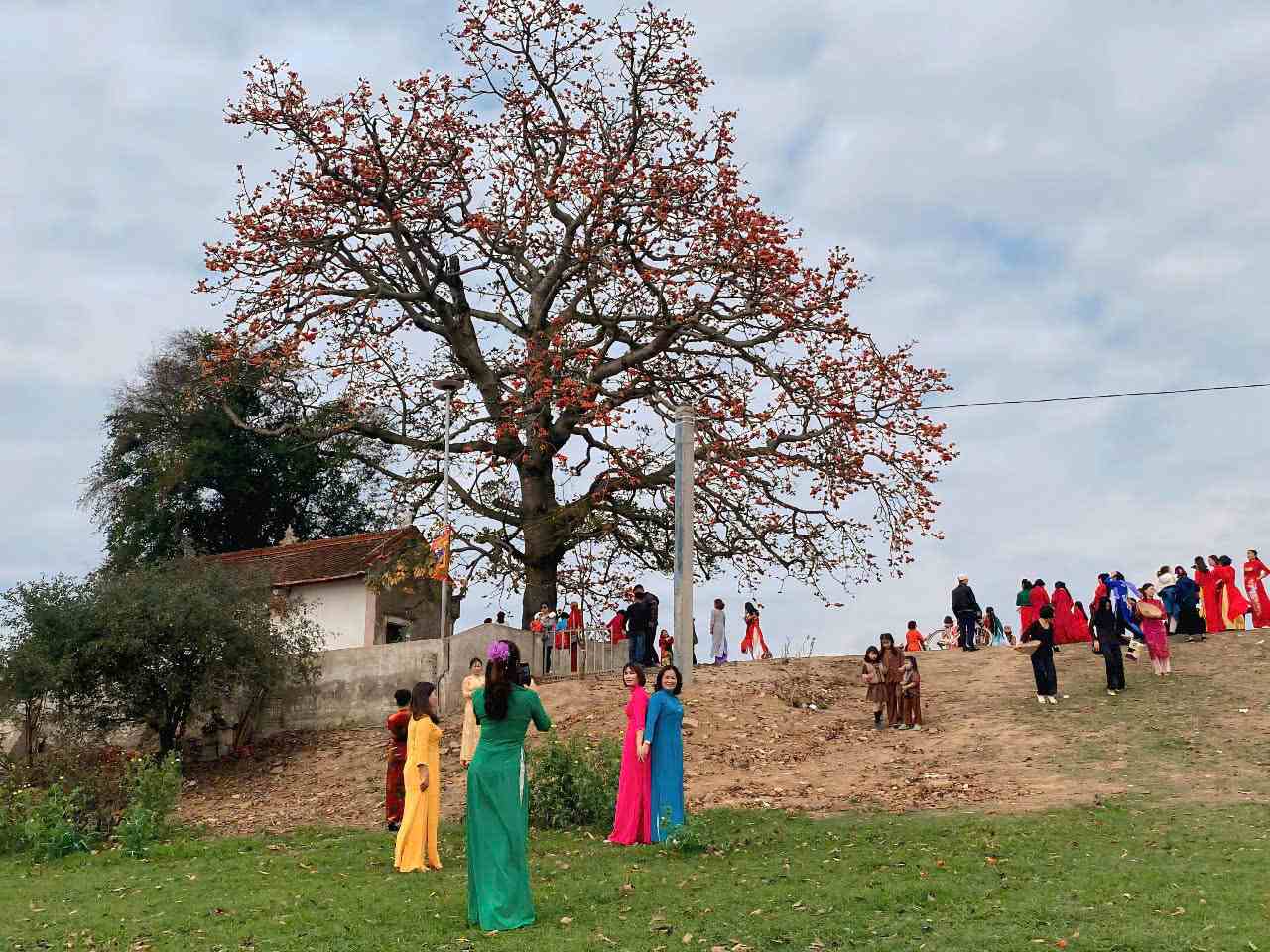 Ngoài đứng trên đê chụp, một số người dân và du khách chọn xuống ven bờ sông Thương để lấy được góc ảnh đẹp hơn với cây hoa gạo cổ. 