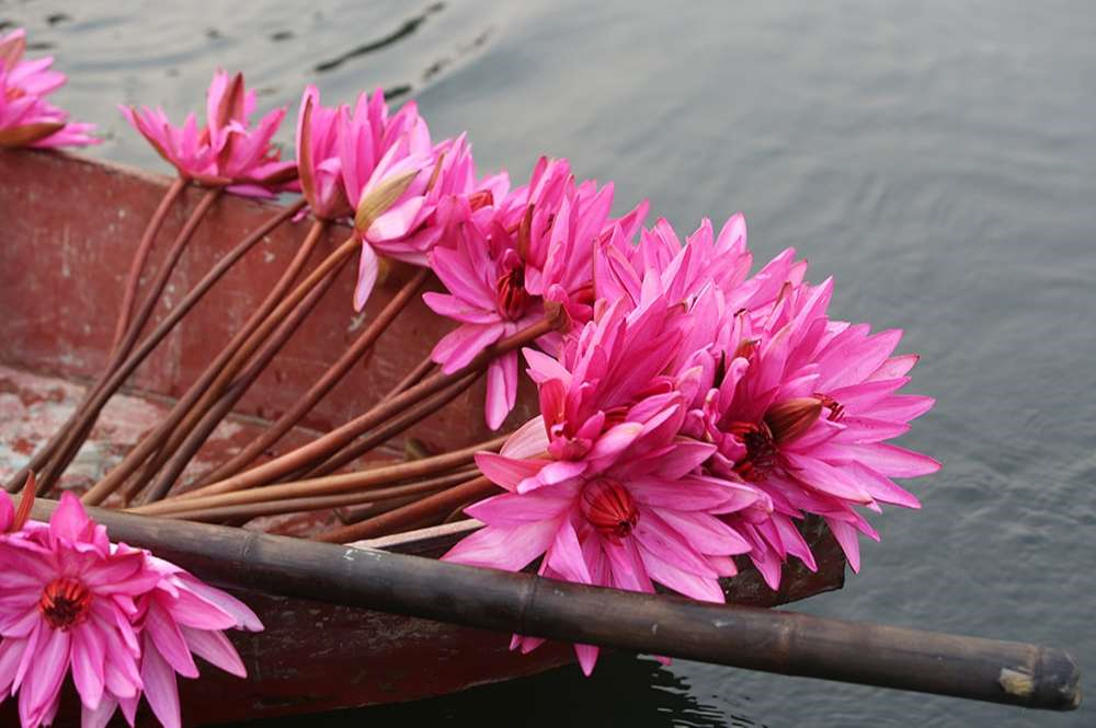 Mùa nước nổi - bản tình ca đẹp nhất Phương Nam- Ảnh 2.