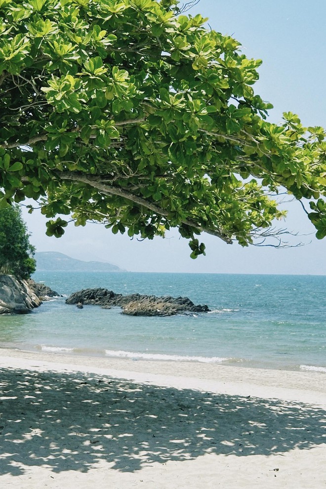 Bãi biển biệt lập cách trung tâm chưa tới 10km, du khách nhận xét: Đúng là biển xanh, cát trắng!- Ảnh 5.
