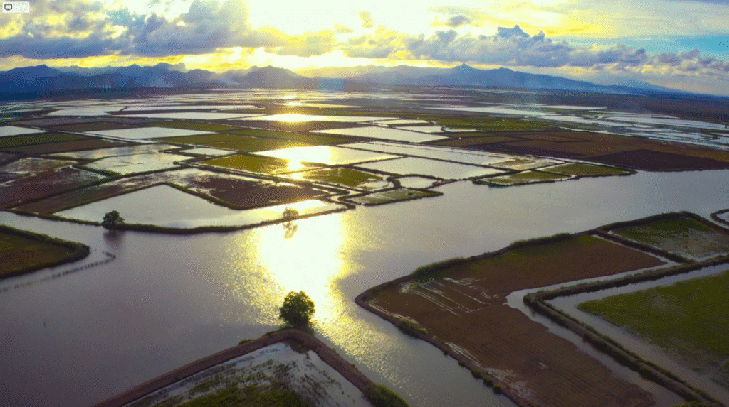 Ngỡ ngàng Hạc Hải - nơi mây trời, bóng nước gặp nhau- Ảnh 1.