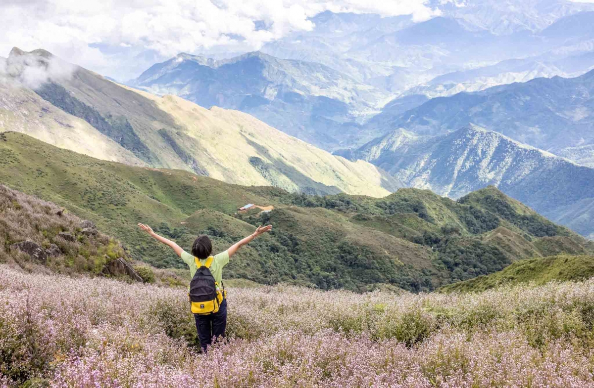 08 điều cần biết để chinh phục đỉnh Tà Chì Nhù - 2797m | Umove Adventure