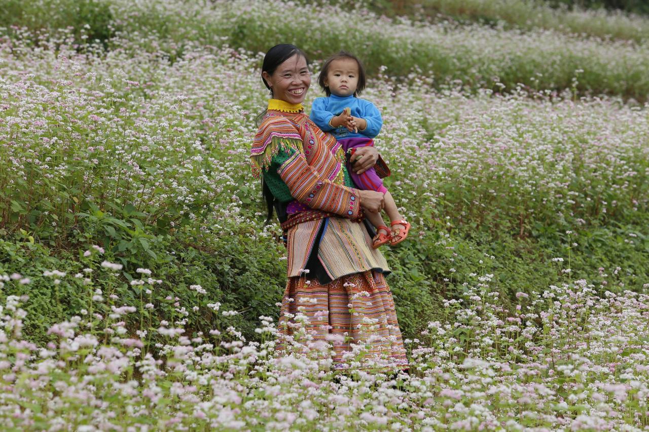 Sắc hồng mơ mộng của Tây Bắc- Ảnh 4.