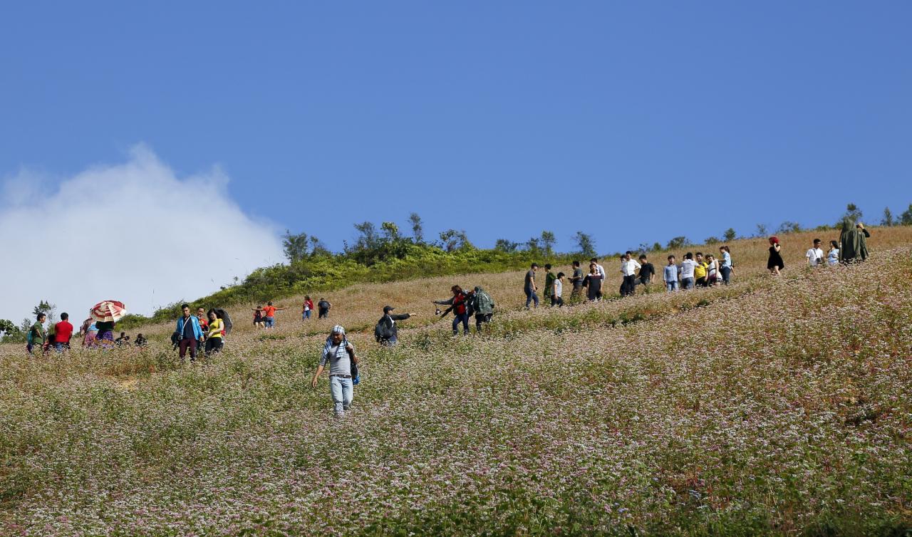 Sắc hồng mơ mộng của Tây Bắc- Ảnh 5.